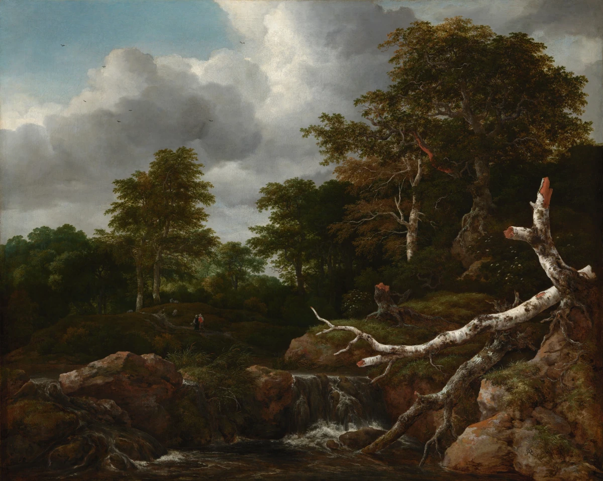 Scène de forêt — Jacob van Ruisdael (1655) — oil on canvas, National Gallery of Art, Washington