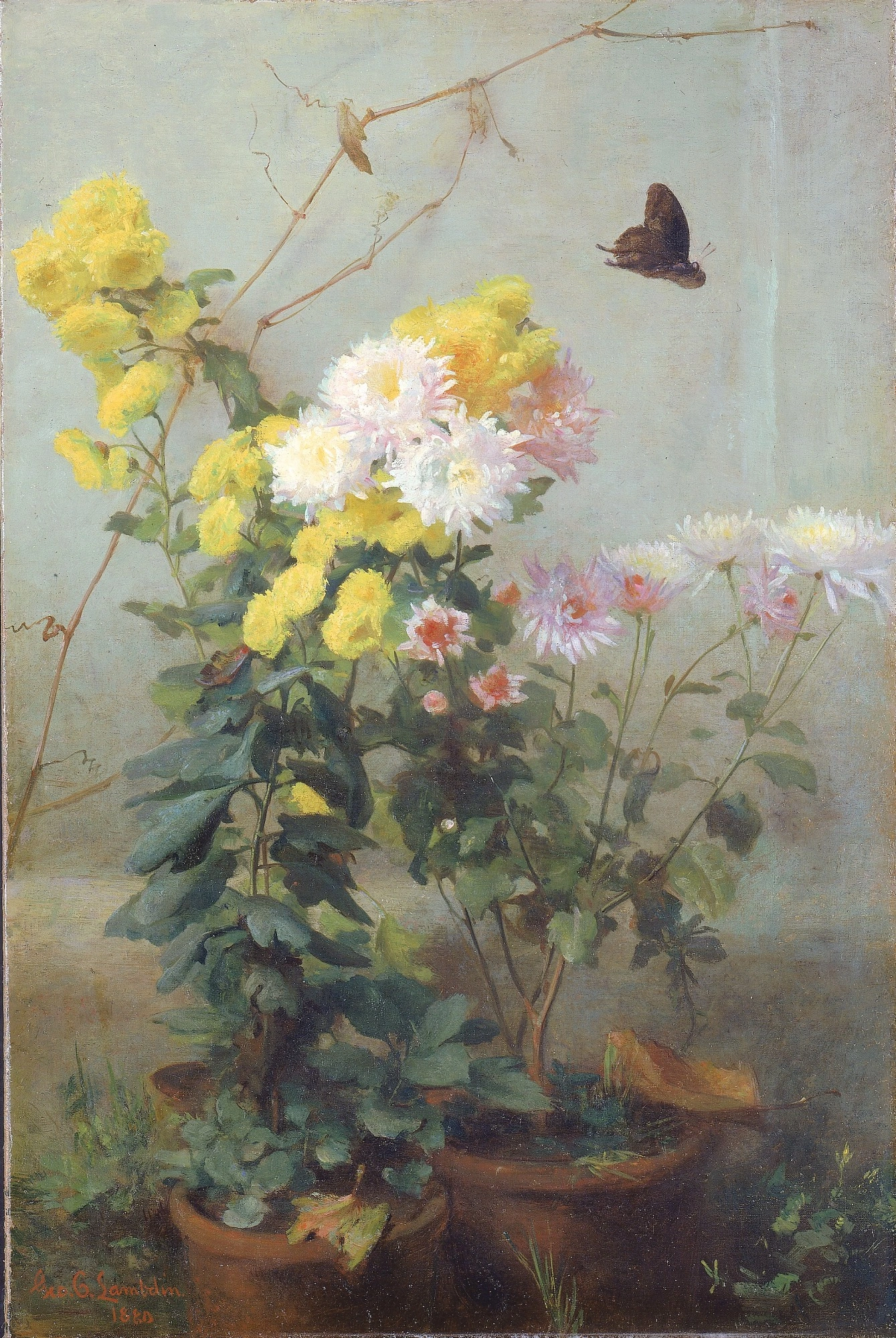 Soleil d'automne